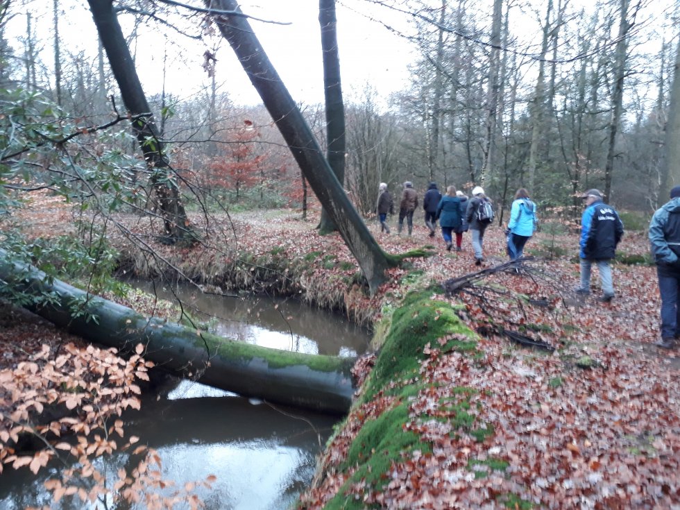 Wandeling landgoed Baest, Oirschot
